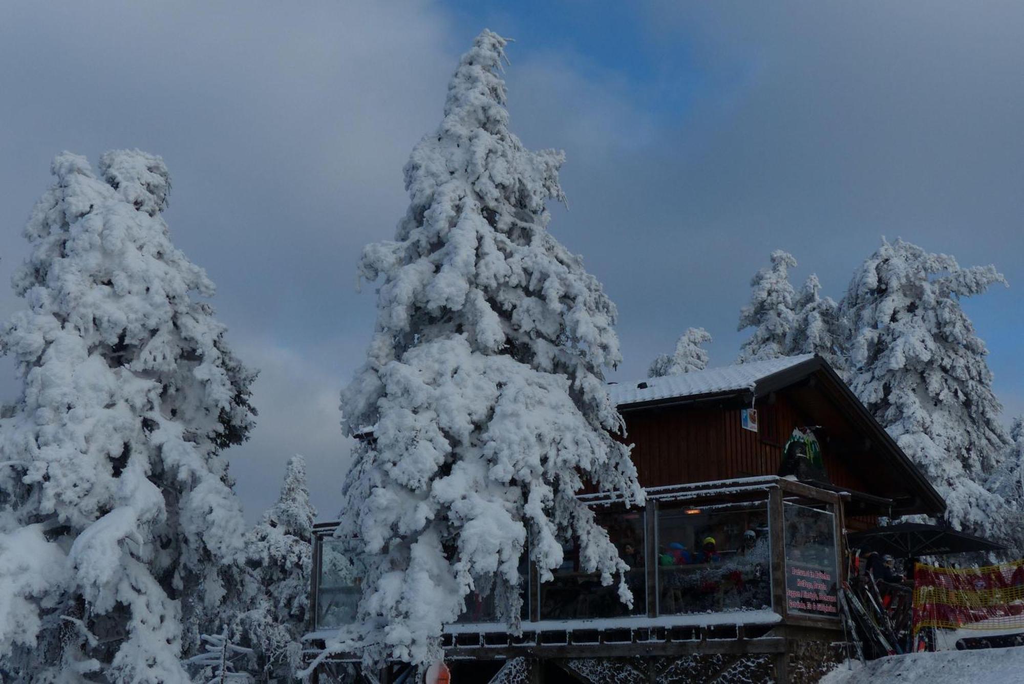 Ferienresidenz An Der Bode, Wohnung 1 Braunlage Εξωτερικό φωτογραφία