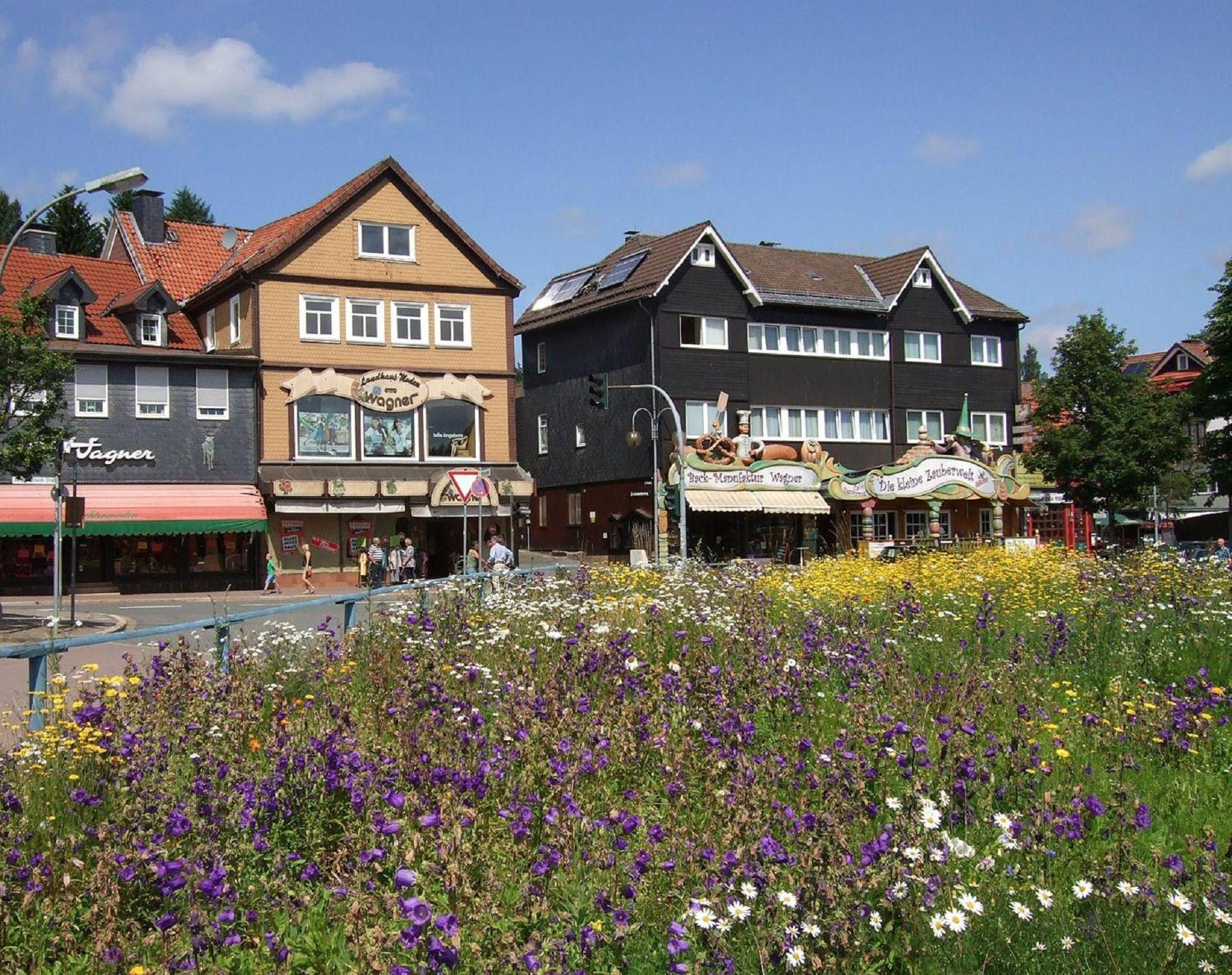 Ferienresidenz An Der Bode, Wohnung 1 Braunlage Εξωτερικό φωτογραφία