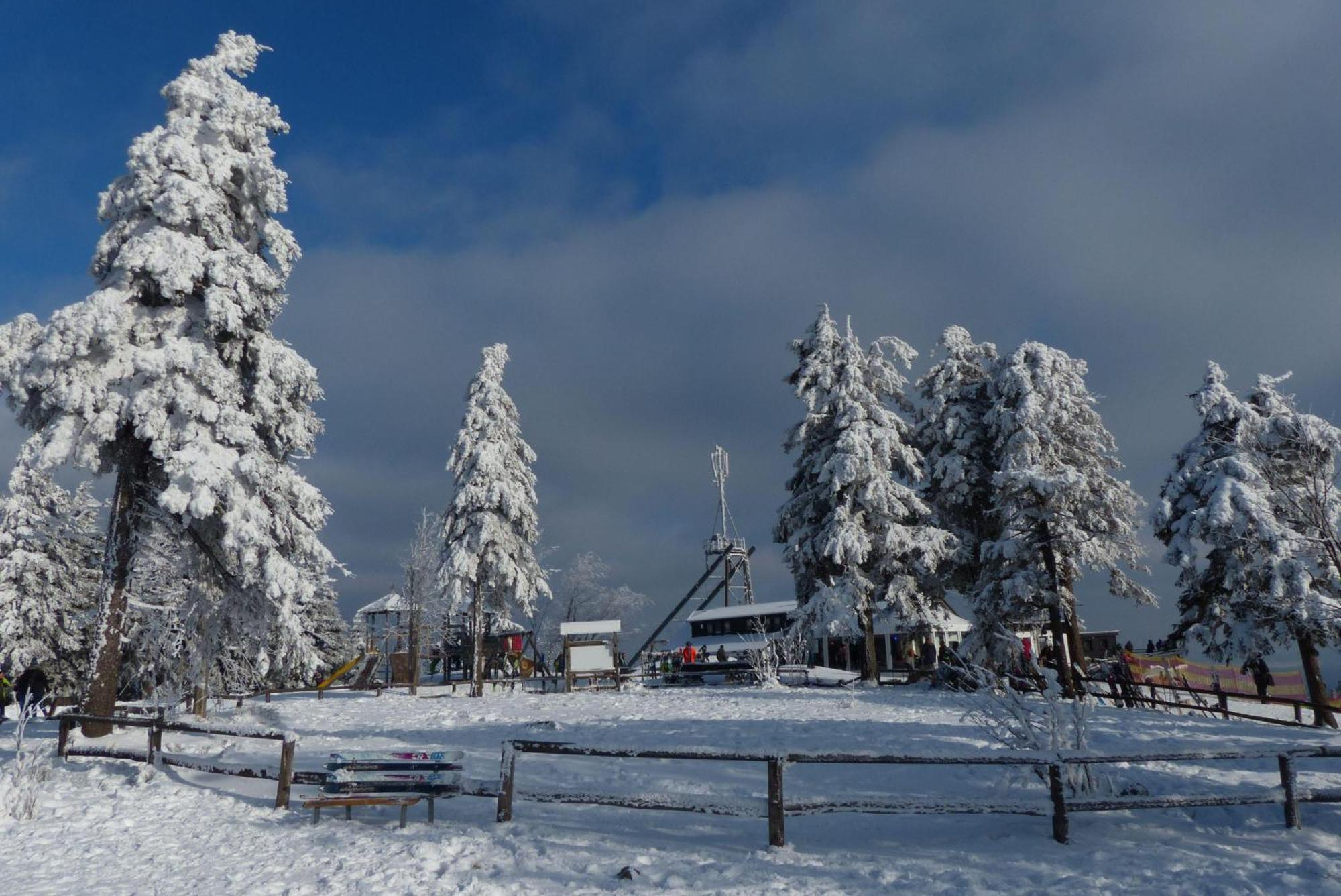 Ferienresidenz An Der Bode, Wohnung 1 Braunlage Εξωτερικό φωτογραφία