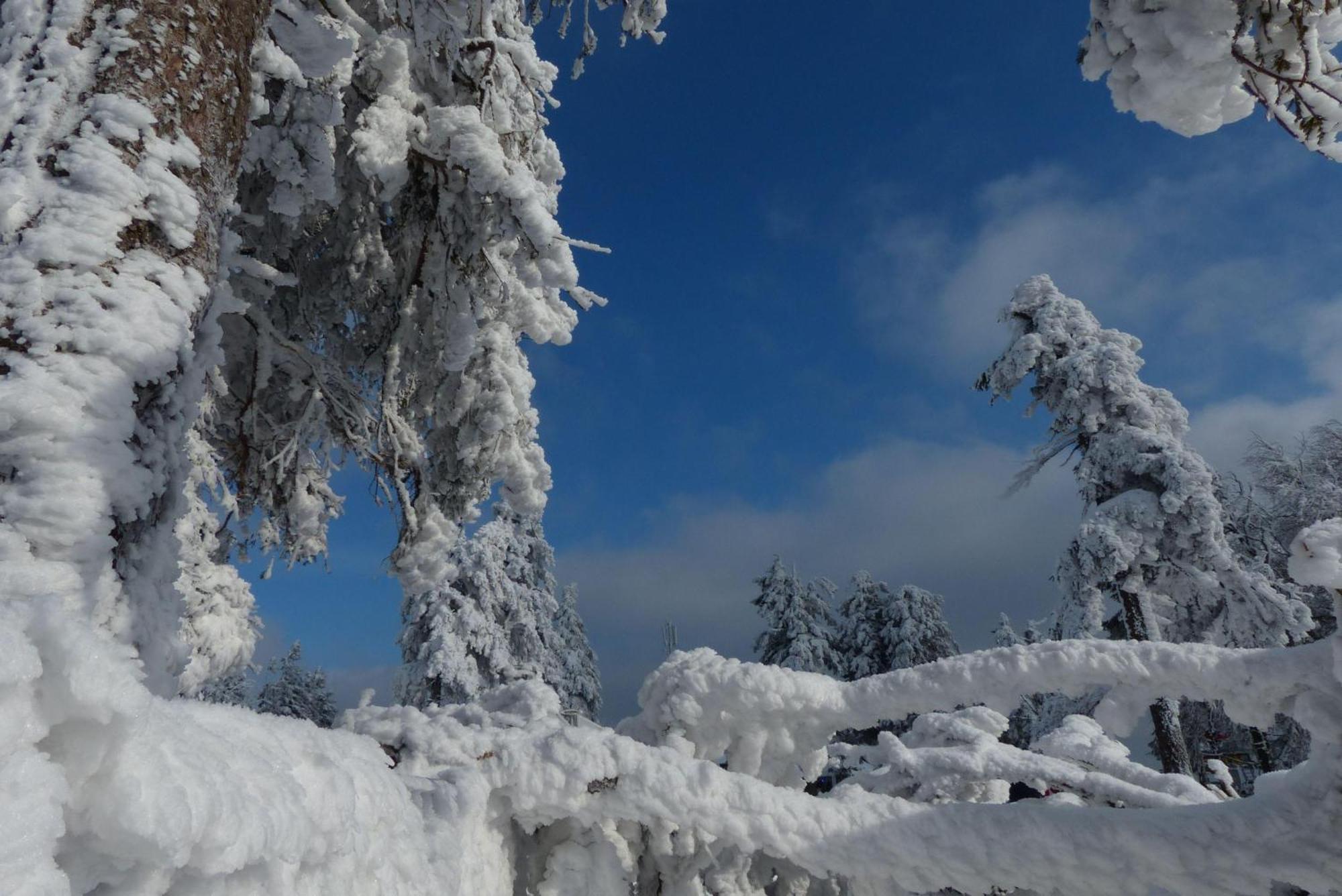 Ferienresidenz An Der Bode, Wohnung 1 Braunlage Εξωτερικό φωτογραφία